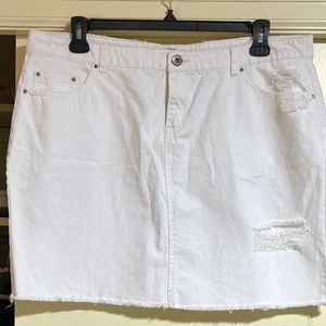 True Craft Denim Skirt